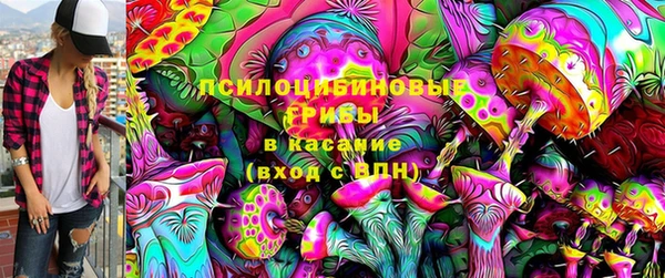 ГАЛЛЮЦИНОГЕННЫЕ ГРИБЫ Арсеньев